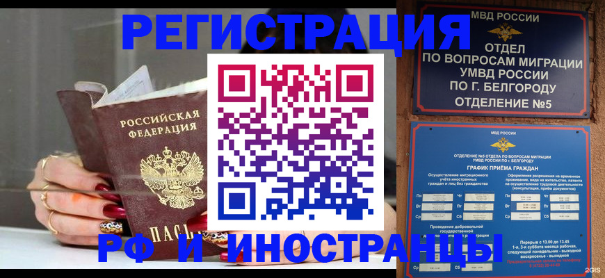 прописка в Вольске